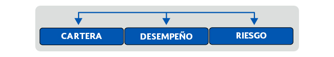 Existen tres categorías: Cartera, Desempeño y Riesgo